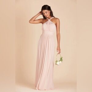 NWT Birdy Grey Kiko Dress in Mesh Pale Blush